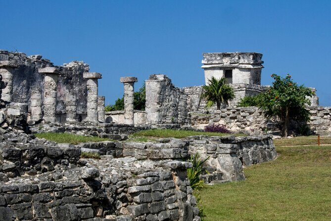 Akumal paradise tour Swimming with Turtles & ancient Tulum Ruins. Lunch included - Price and what you actually get for $139