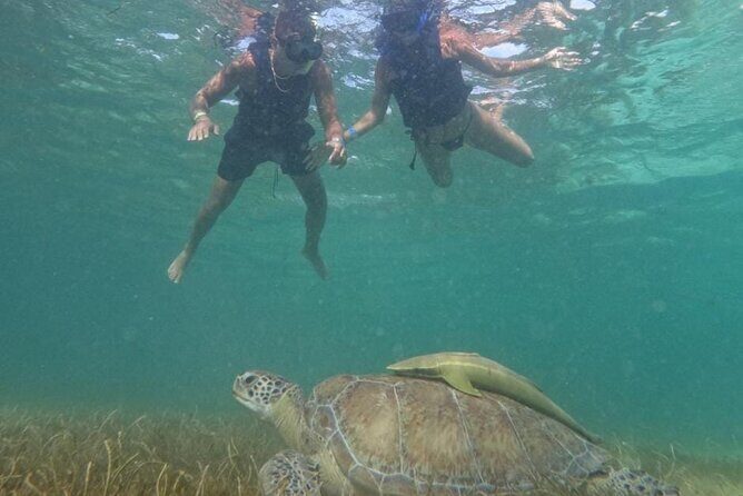Akumal : Snorkeling with Green Turtles + Photos with GoPro - Gear, comfort, and on-site facilities that keep the day smooth
