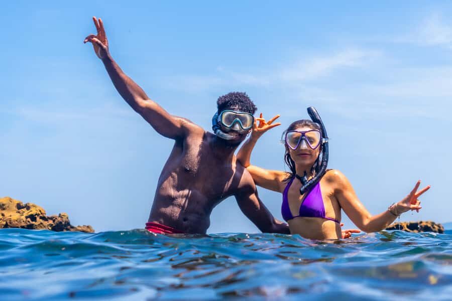 Akumal: Swim with Turtles in a Natural Paradise - Marine life viewing: what you can expect to spot