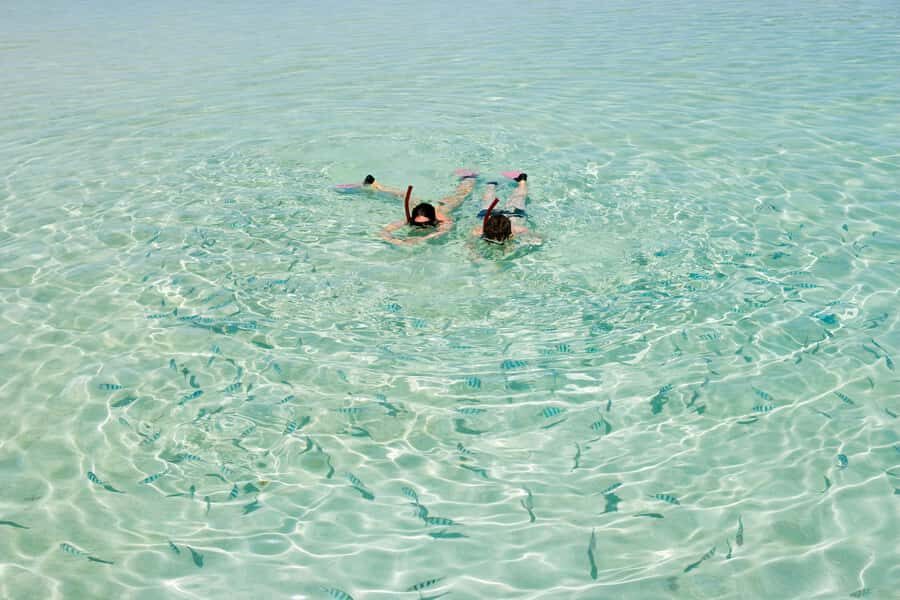 Akumal: Swim with Turtles in a Natural Paradise - The equipment and park facilities you’re actually getting