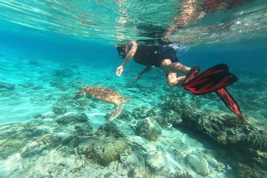 Akumal: Swim with Turtles in a Natural Paradise - What to bring (so the day feels easy)