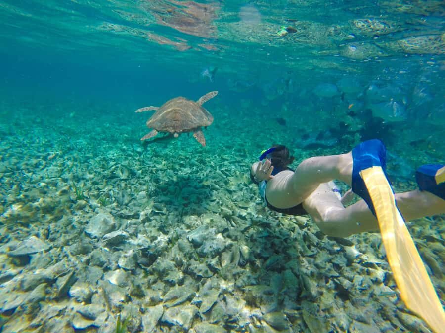 Akumal: Swim with Turtles in a Natural Paradise - Meeting at Oxxo Mar Azul: what this start really means