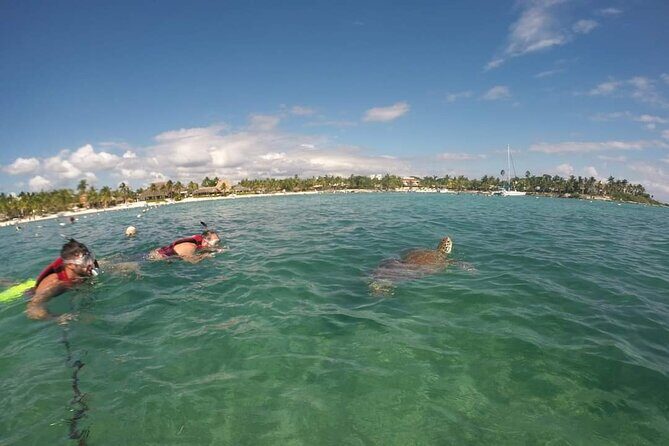 Akumal turtles sanctuary and go pro photos - Meet at Manzano and get set up fast (bracelet, locker, gear check)