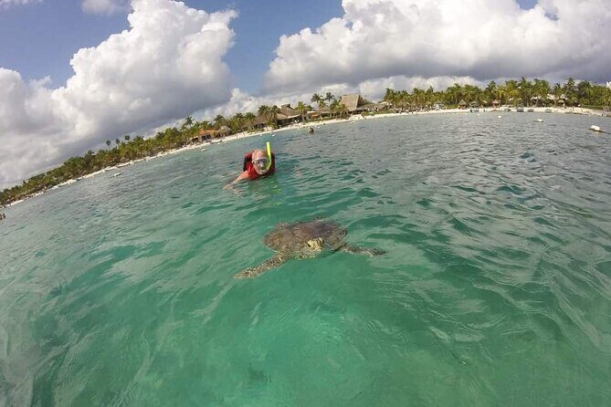 Akumal turtles sanctuary and go pro photos - From turtles back to beach time: why you’re not rushed after snorkeling