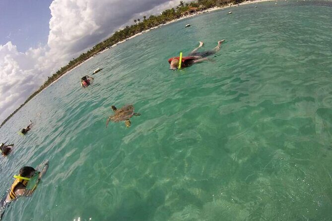 Akumal turtles sanctuary and go pro photos - Price and logistics: what $40 covers and what you should budget