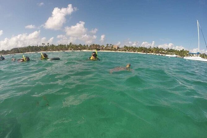 Akumal turtles sanctuary and go pro photos - Who should book this Akumal turtles snorkeling with GoPro photos