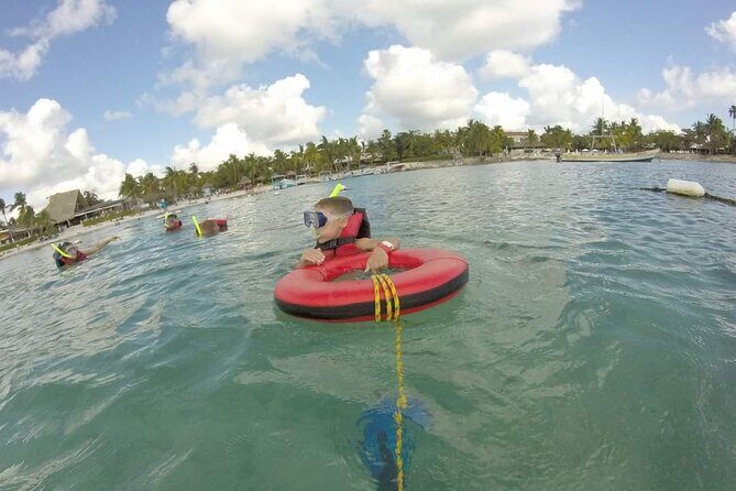 Akumal turtles sanctuary and go pro photos - Quick FAQ about Akumal turtles snorkeling and GoPro photos