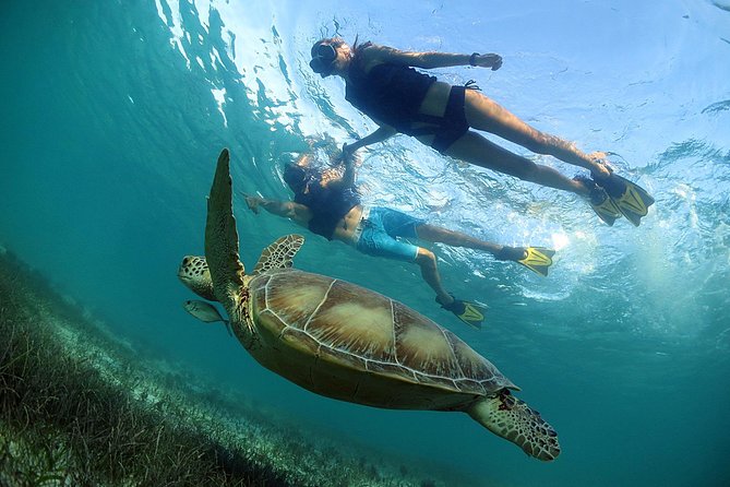 Akumal Turtles, Snorkel Tour from Cancun or Riviera Maya - Snacks, Equipment, and the Pace of the Day