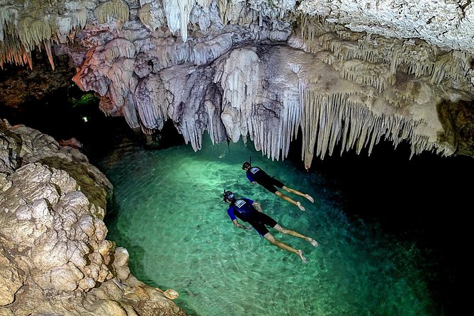 Akumal Turtles, Snorkel Tour from Cancun or Riviera Maya - What This Tour Fits Best (And What It Might Not)