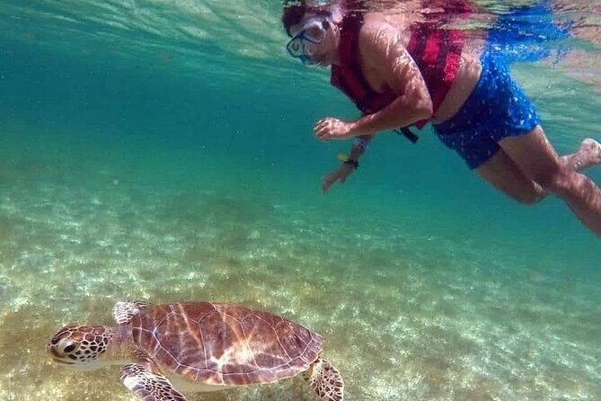 Akumal Turtles Snorkeling and GoPro pictures - Safety and Fitness: You Don’t Need to Be a Super Swimmer, But You Do Need Comfort