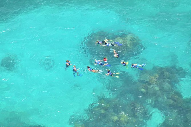 All Inclusive Caribbean adventure, reef snorkeling, Food & Drinks - Who This Tour Is Best For (and Who Should Skip It)