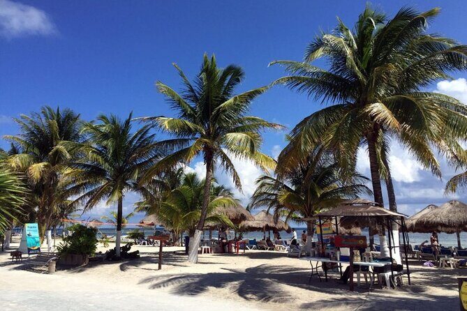 All-Inclusive Costa Maya Beach Break - The all-inclusive part: open bar, bottled drinks, and lunch that doesn’t feel like filler