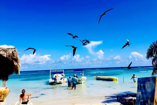 All Inclusive Nova Beach Club Xperience - Costa Maya - Who this beach club day is best for