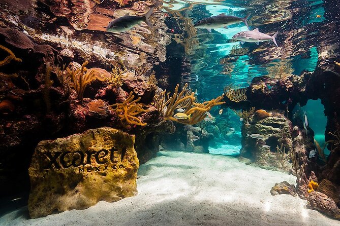 All-inclusive Xcaret Park with Transportation from Cancun & Playa Del Carmen - Getting There From Cancun or Playa: Pickup Smoothness Is the Real Test