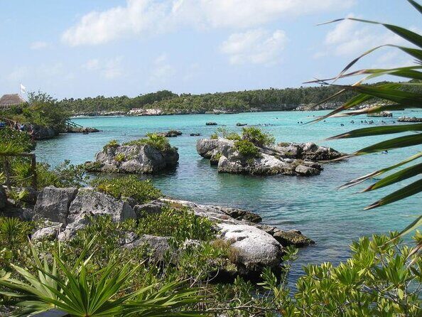 All Inclusive - Xel-Ha Park Tour from Cancún & Playa del Carmen - Xel-Há Park by Xcaret: what makes this day-trip feel worth it