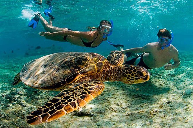 Amazing Adventure in Akumal. Swim with turtles and discover Tulum Ruins. - Akumal and Tulum in one day: the big idea