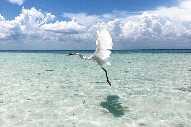 Amazing HOLBOX Full day tour and Cenote swim experience from Cancun! - Holbox island time: beach hours, lunch by the shore, and bike rental