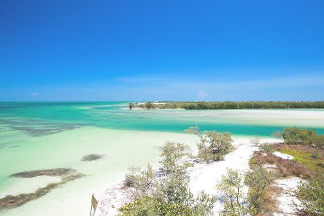 Amazing HOLBOX Full day tour and Cenote swim experience from Cancun! - Who should book (and who should skip) this Holbox day