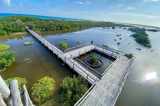 Amazing Jeep Tour Visit Punta Sur Park and San Gervasio Ruins - San Gervasio Ruins and Ixchel: Fertility, Rituals, and Mayan Life