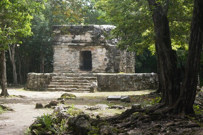 Amazing Jeep Tour Visit Punta Sur Park and San Gervasio Ruins - Hotel Hacienda Ixtlan Tequila Tasting: Coco, Cafe, and More