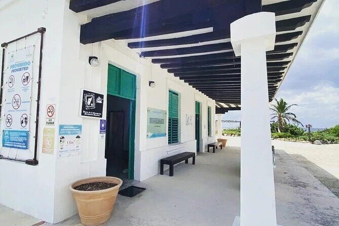 Amazing Jeep Tour Visit Punta Sur Park and San Gervasio Ruins - Price and Value: What $95 Buys, and What You Might Add