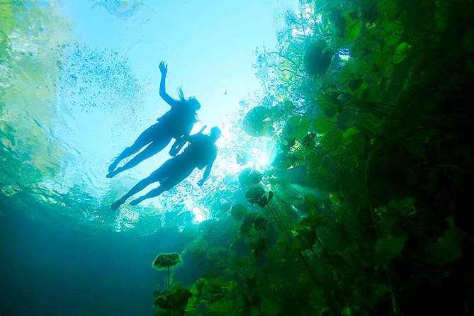 Amazing Mayan Tour Xenotes from Cancun - The Ruta de los Cenotes and the aluxes myth: why the story adds value