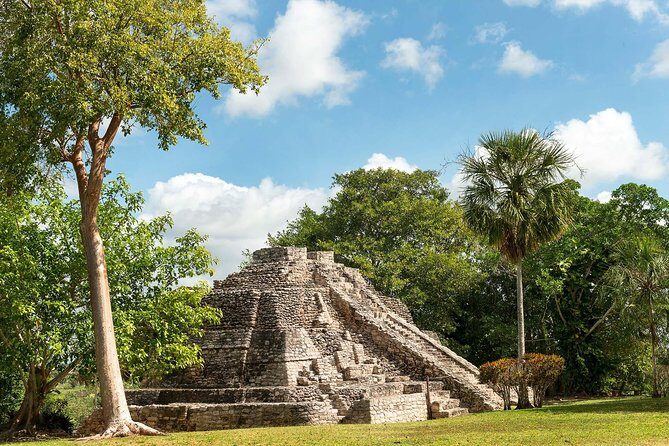 Ancient Chacchoben Mayan Ruins Tour from Costa Maya - Stop 1 at Chacchoben: temples, jungle paths, and real wildlife chances