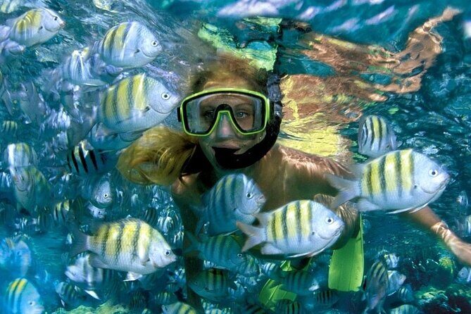 Aquatic Paradise in Tulum: Snorkel Yalku, Swim Cenote & Kaan Luum - Getting there: pickup windows, meet points, and van reality