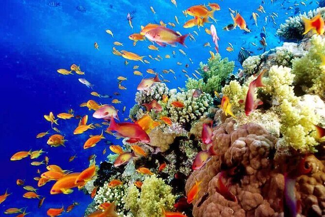 Aquatic Paradise in Tulum: Snorkel Yalku, Swim Cenote & Kaan Luum - Kaan Luum lagoon with a cenote inside: the color-changing highlight