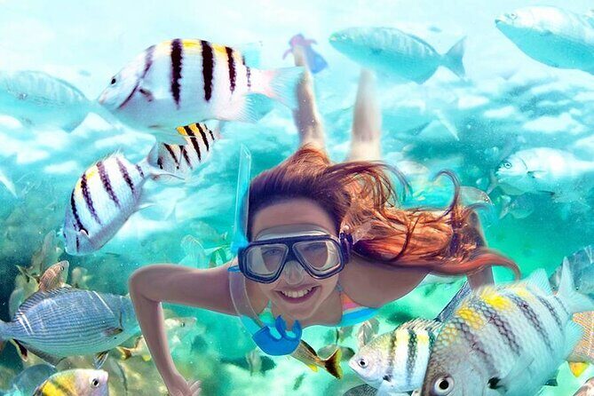Aquatic Paradise in Tulum: Snorkel Yalku, Swim Cenote & Kaan Luum - Price and value: what the $105 really buys you
