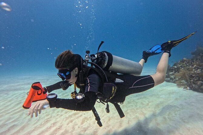 Aquatic Wonderland: Discover Meso's Magic" - How Long It Takes and How to Fit It Into Your Day