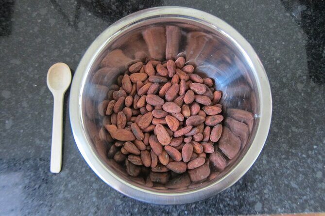Artisanal Chocolate Bean to Bar Workshop in Cancún - Chocolate tasting snacks: what to look for in artisanal bars