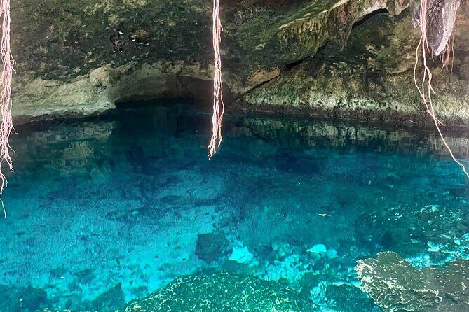 ATV cenote tour Tulum – Mayan Jungle ATV & Cavern Experience - Canopy Zipline: Two Lines, Big Views, and a Clear Limit