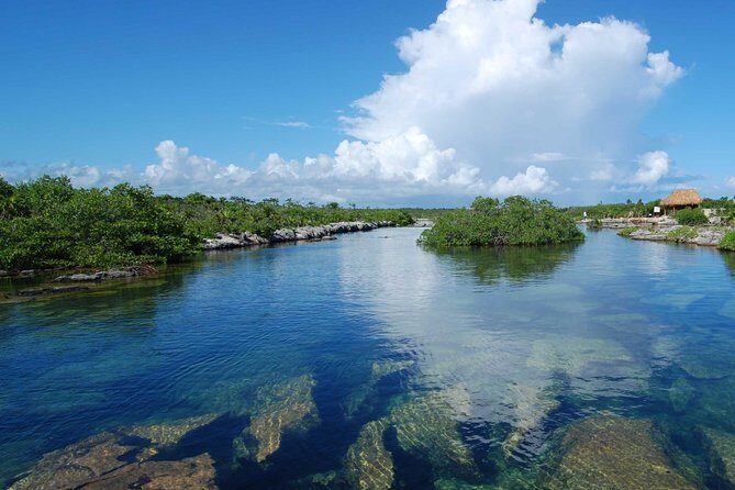 ATV Extreme and Snorkel Adventure from the Riviera Maya - The Half-Day Format: ATV, Cenote Snorkel, Zipline