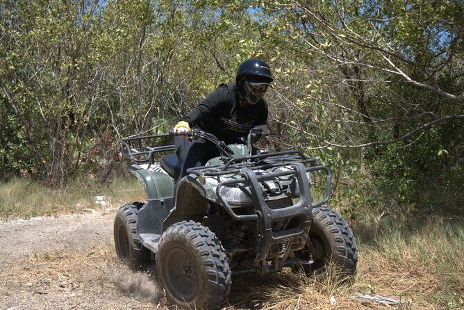 ATV Mangrove Adventure - Private transportation and small-group vibes: comfort and control