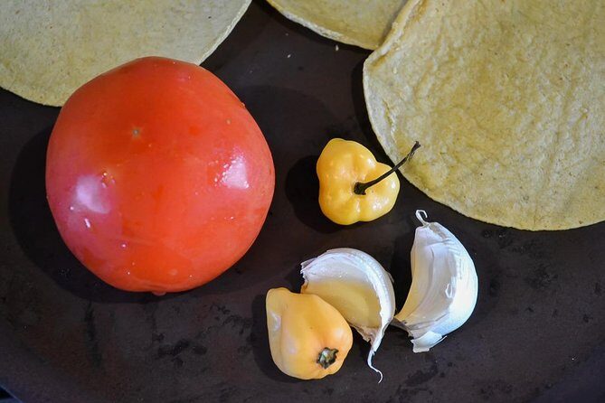 Authentic Mexican Cooking Class in Playa del Carmen - Lunch That Feels Like a Real Meal, Not a Sample