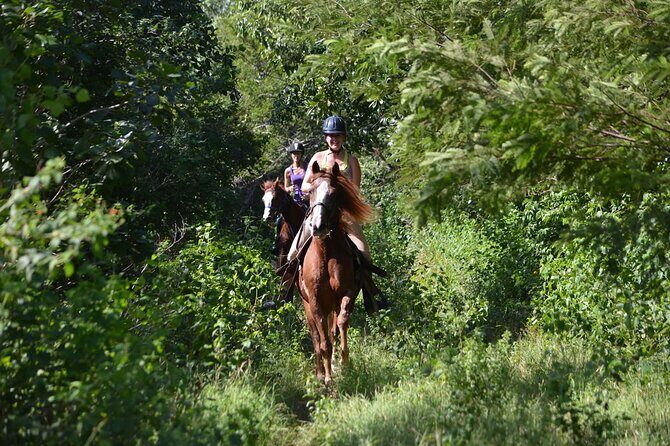 Award-winning Private Classic Horseback Ride - Meet up in Punta Maroma and get ready fast