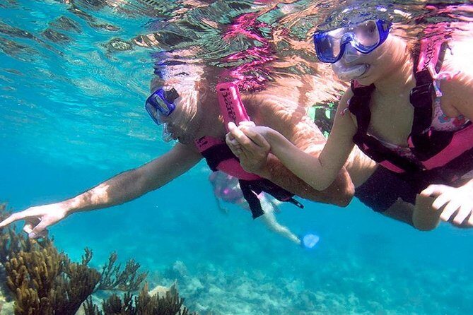 Awesome Tour Day at Xcaret Plus + Transportation from Riviera Maya - Your Day at Xcaret: How to Structure 50+ Attractions Without Burning Out
