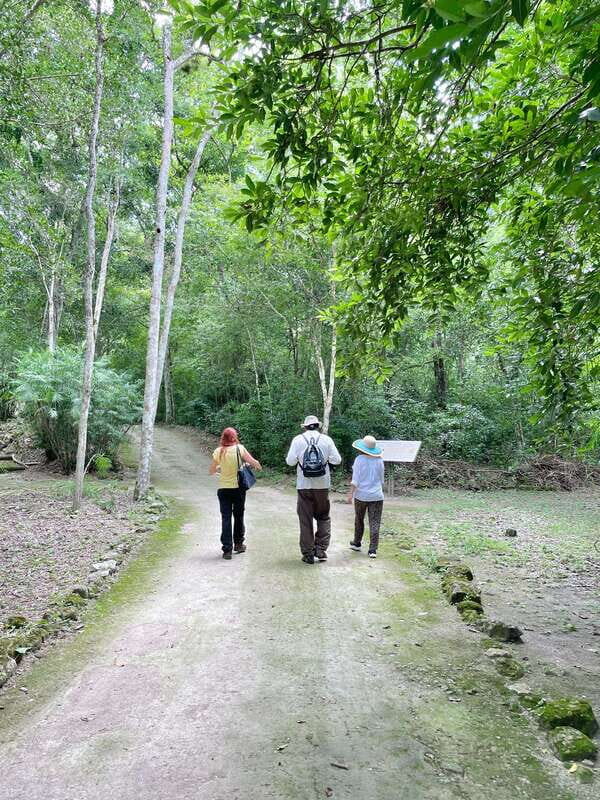 Bacalar: Calakmul daytour ruins and walk in the jungle.. - Key takeaways before you go