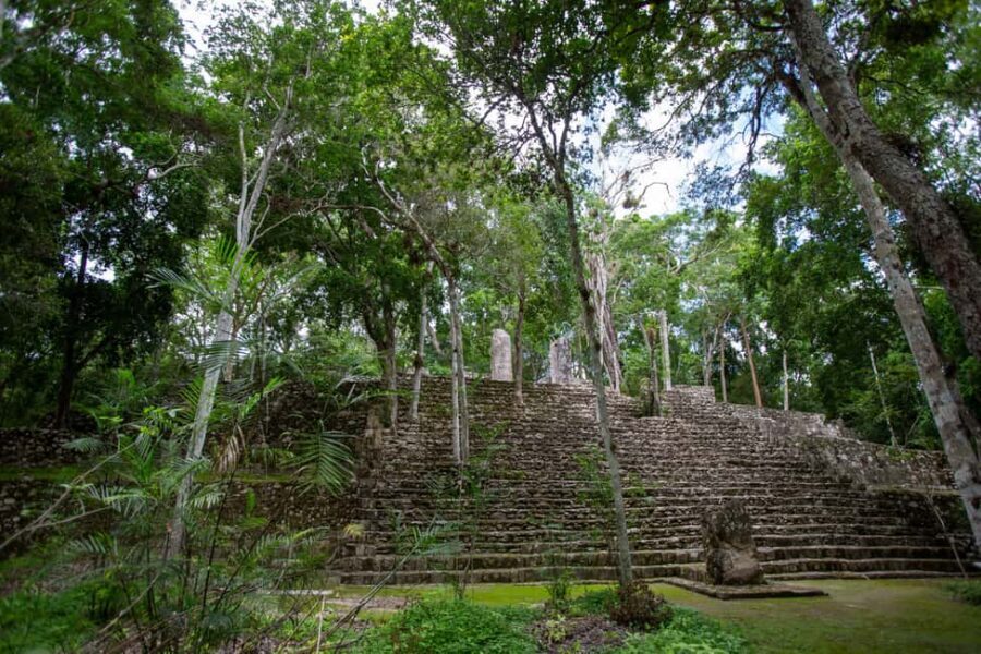 Bacalar: Calakmul daytour ruins and walk in the jungle.. - Tips to Make the Most of Your Calakmul Day