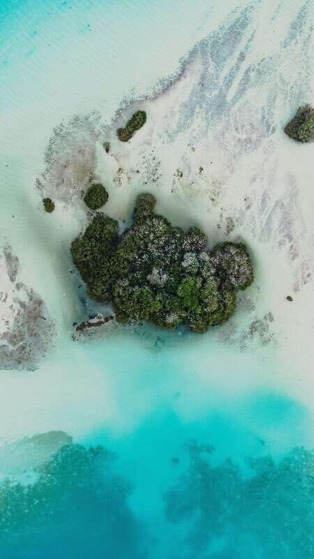 Bacalar & Cenotes: 3 hours kayak rental with snorkeling gear - Choosing a single vs. double kayak (and how it changes your day)