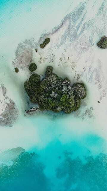Bacalar & Cenotes: 3 hours kayak rental with snorkeling gear - Who this suits best (and who should skip it)