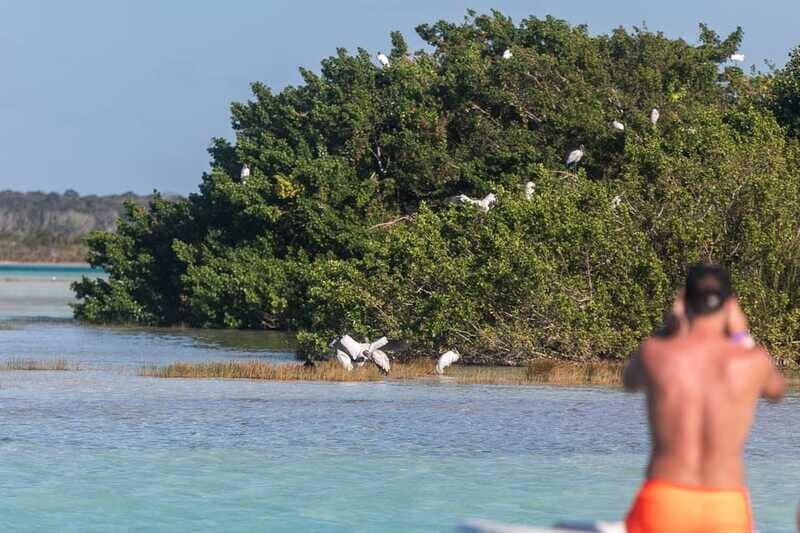 Bacalar: Full Day Kayak Rental in the Lagoon of Seven Colors - Who This Kayak Day Suits Best (and Who Should Skip)