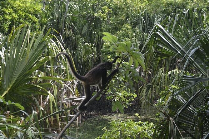 Bacalar Lagoon & Chacchoben Mayan Ruins Combo from Costa Maya - What “guided” really means on this combo