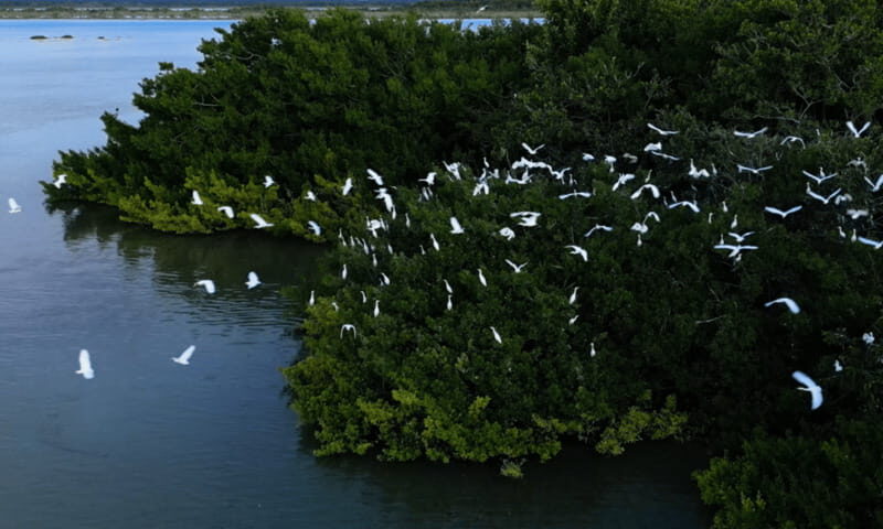 Bacalar: Lagoon, Pirate Canal, Stromatolite Day Trip w/Lunch - Cenote Negro and the 7-Color Look