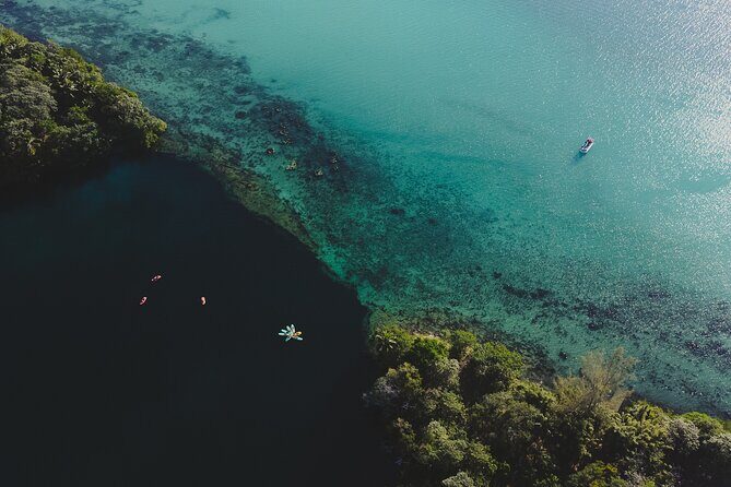 Bacalar Lagoon Sightseeing Boat Tour with Open Bar and Snacks - Cocalitos Cenote: stromatolites and ancient oxygen production