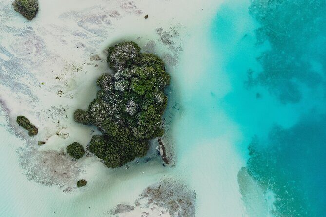 Bacalar Lagoon Sightseeing Boat Tour with Open Bar and Snacks - Price and drinks: where $56.58 really adds value