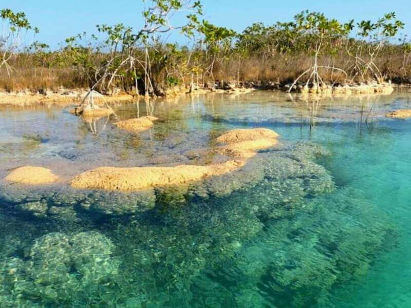 Bacalar: Magnificent Bacalar Lagoon Exclusive Boat Tour - What the 4 Distinct Ecosystems Mean for Your Experience