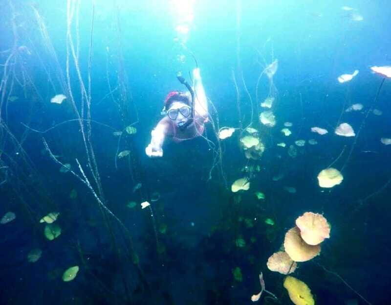 Bacalar: Magnificent Bacalar Lagoon Exclusive Boat Tour - Price and Value: What $127 Includes (and Why It’s Not Just a Ticket)