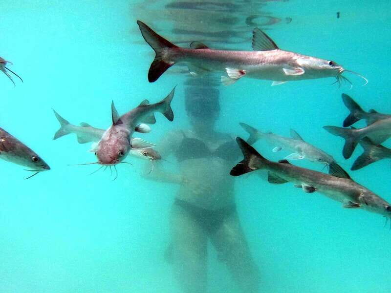 Bacalar: Magnificent Bacalar Lagoon Exclusive Boat Tour - Meeting Point at Casa de Piedra Yovanis Tours: Get Oriented Fast